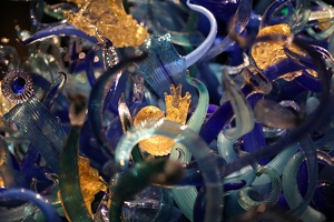 Sealife Room at Chihuly Garden and Glass